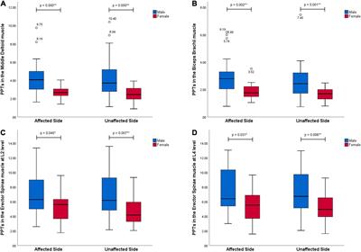 The Effects of Gender, Functional Condition, and ADL on Pressure Pain Threshold in Stroke Patients